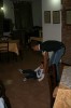Thumbs/tn_IMG_2553.jpg