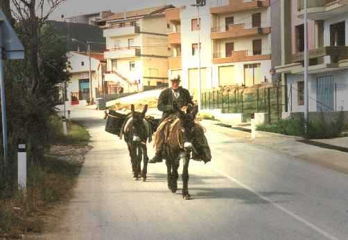  L'ult�m� condadin� chi ciocci� e i v�ssazz�