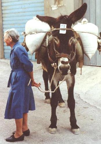 Nu cioci' chi sacc' de gran e nu sandil' de sand' Nucenz' 'mbrond' 
