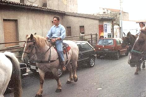  Mariocce , cugen'm', u fegghiie de cenzin' u veccir' 