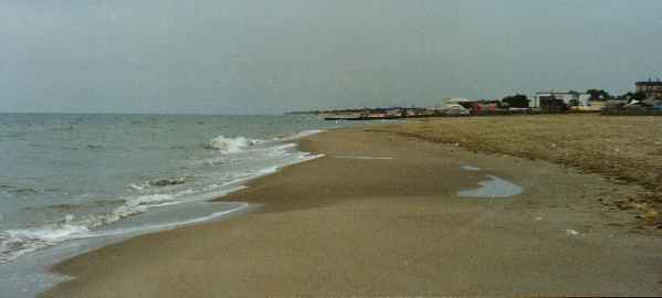  METAPONTO, a spiaggi� adou� n� sciamm' a rost' 